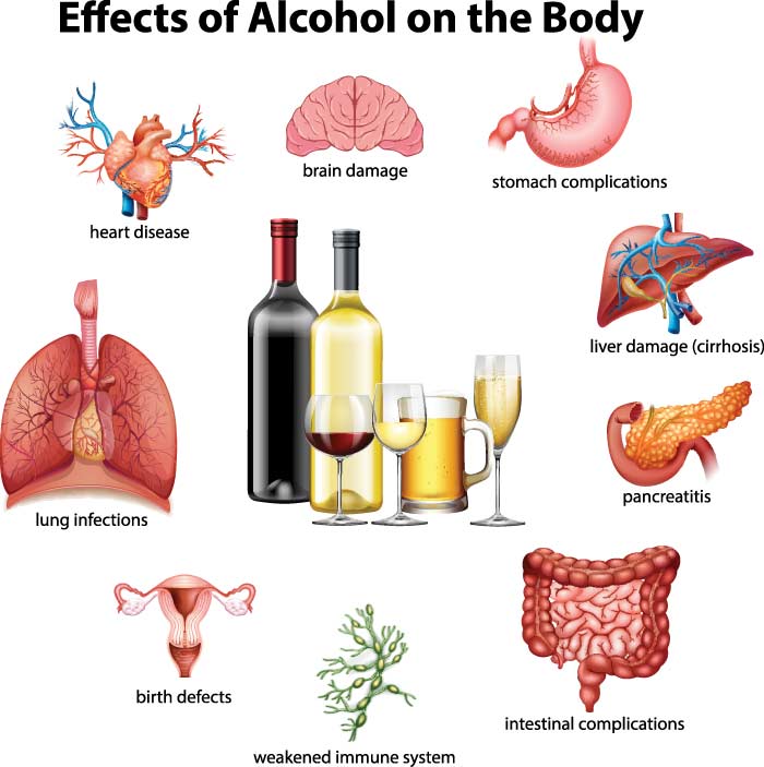 effects of alcohol on the body