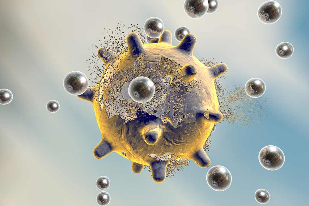 destruction of a virus by silver nanoparticles