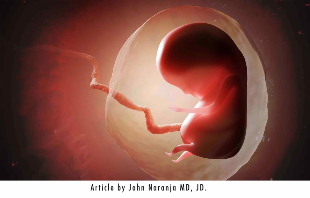 Human fetus or embryo inside womb