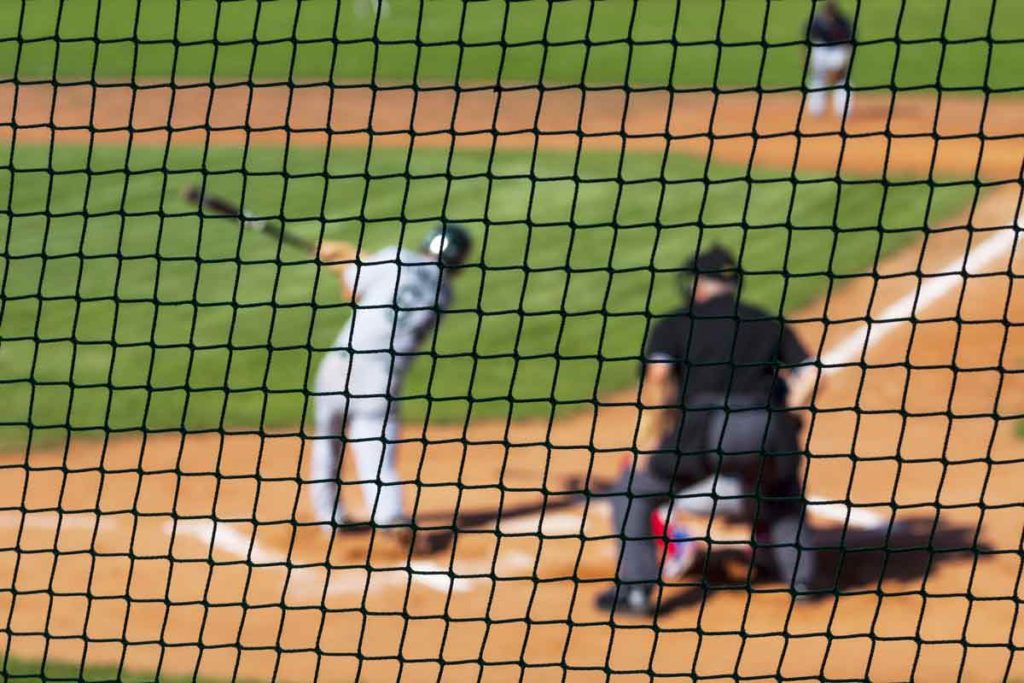 baseball pitch viewed from behind protective net