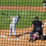 baseball pitch viewed from behind protective net