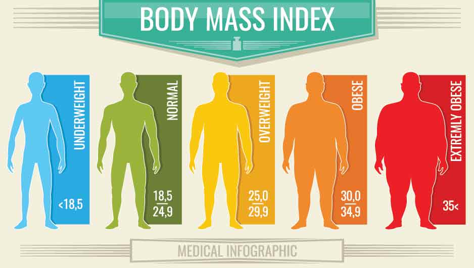 body mass index graphic