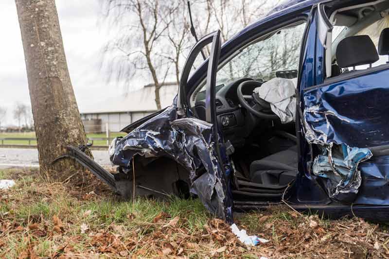 car crashed into a tree