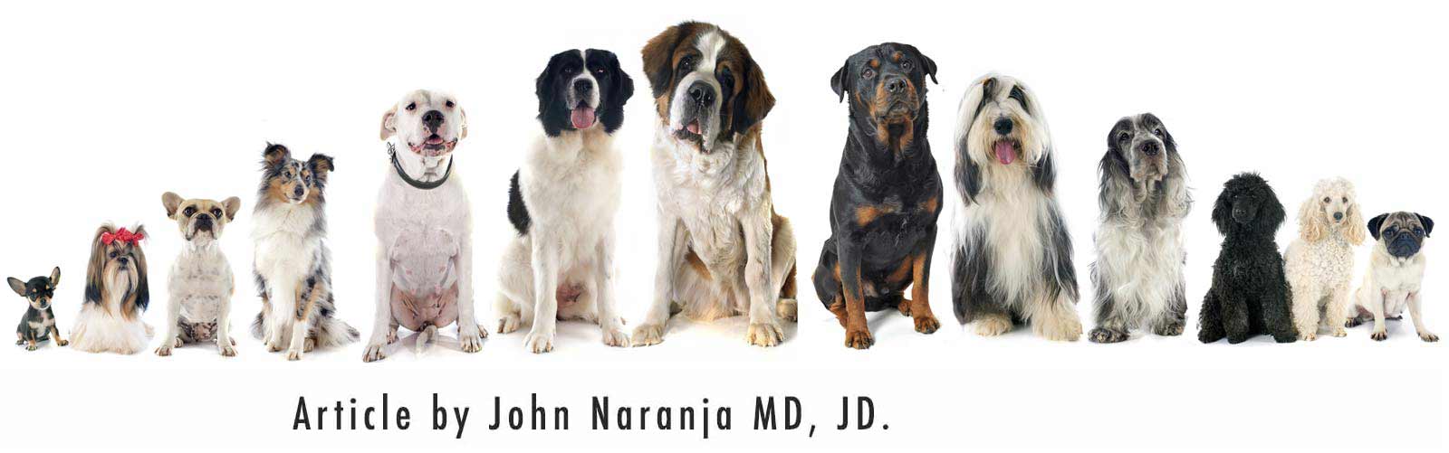 dogs of all sizes and shapes, article by dr. john naranja, md, jd