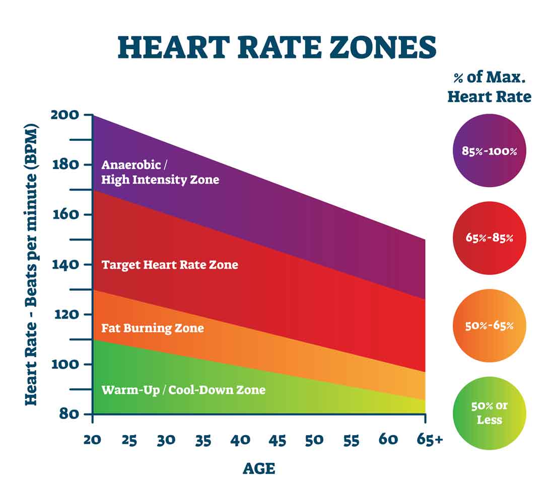 heart rate zones graph