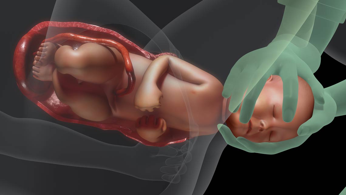 Normal labor and vaginal birth