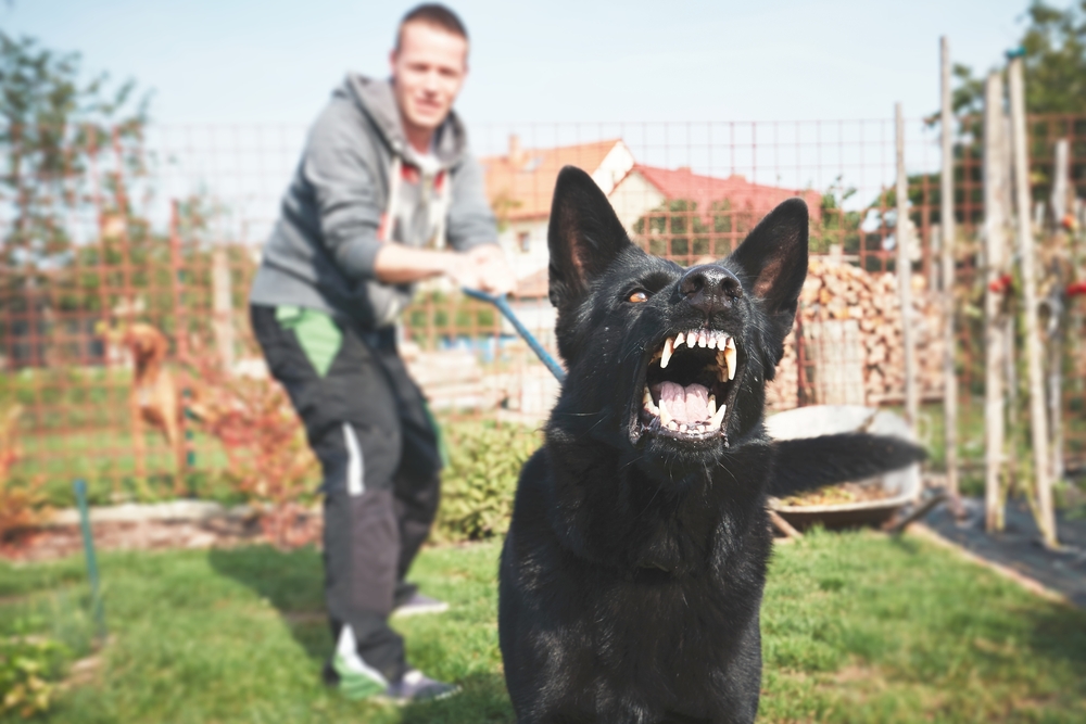 Person crouching beside a large black dog outdoors