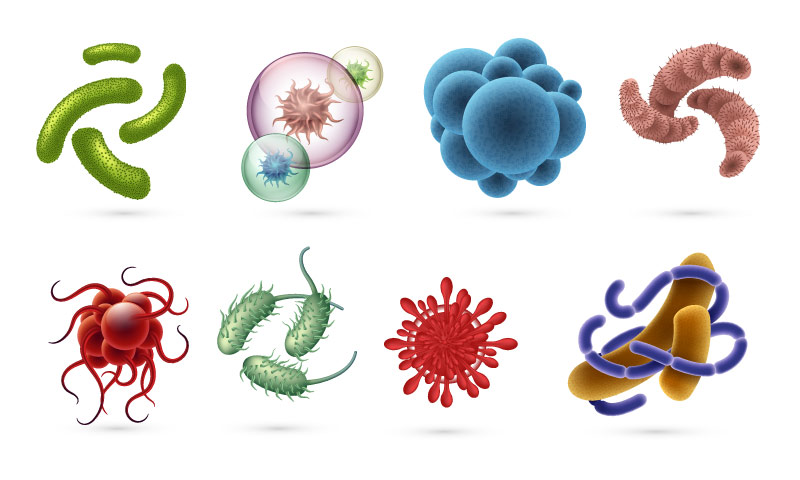 viruses, germs, infection bacteria cells